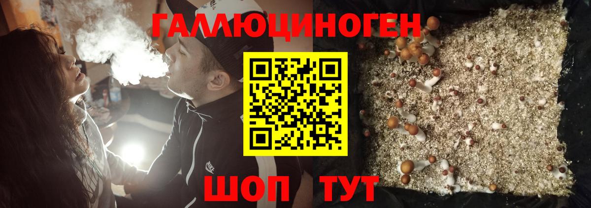 Галлюциногенные грибы ЛСД Губаха